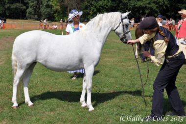 TALACHDDU SWALLOWTAIL