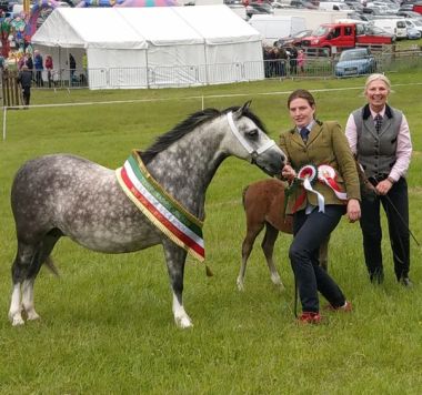 LINGARDSWOOD SEREFINA